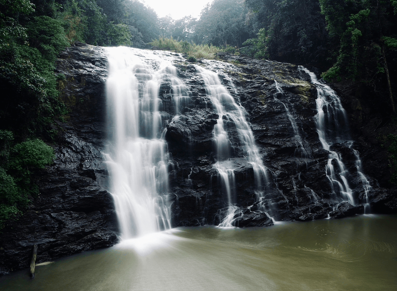 Coorg